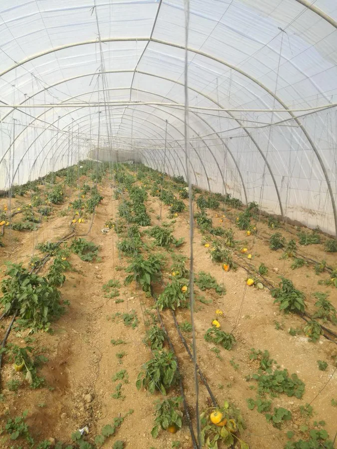Agriculture archive
