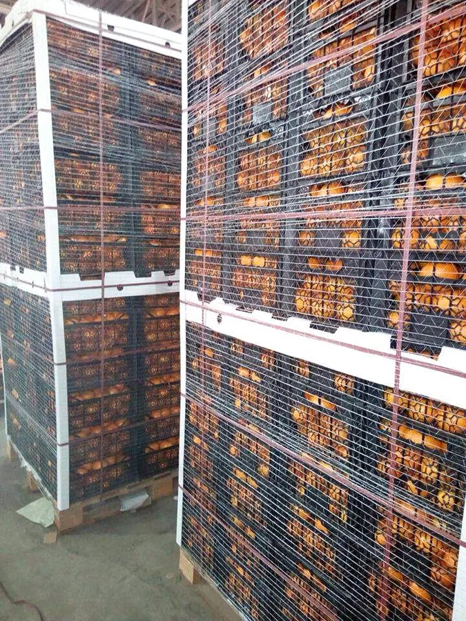 Earlier export and packing